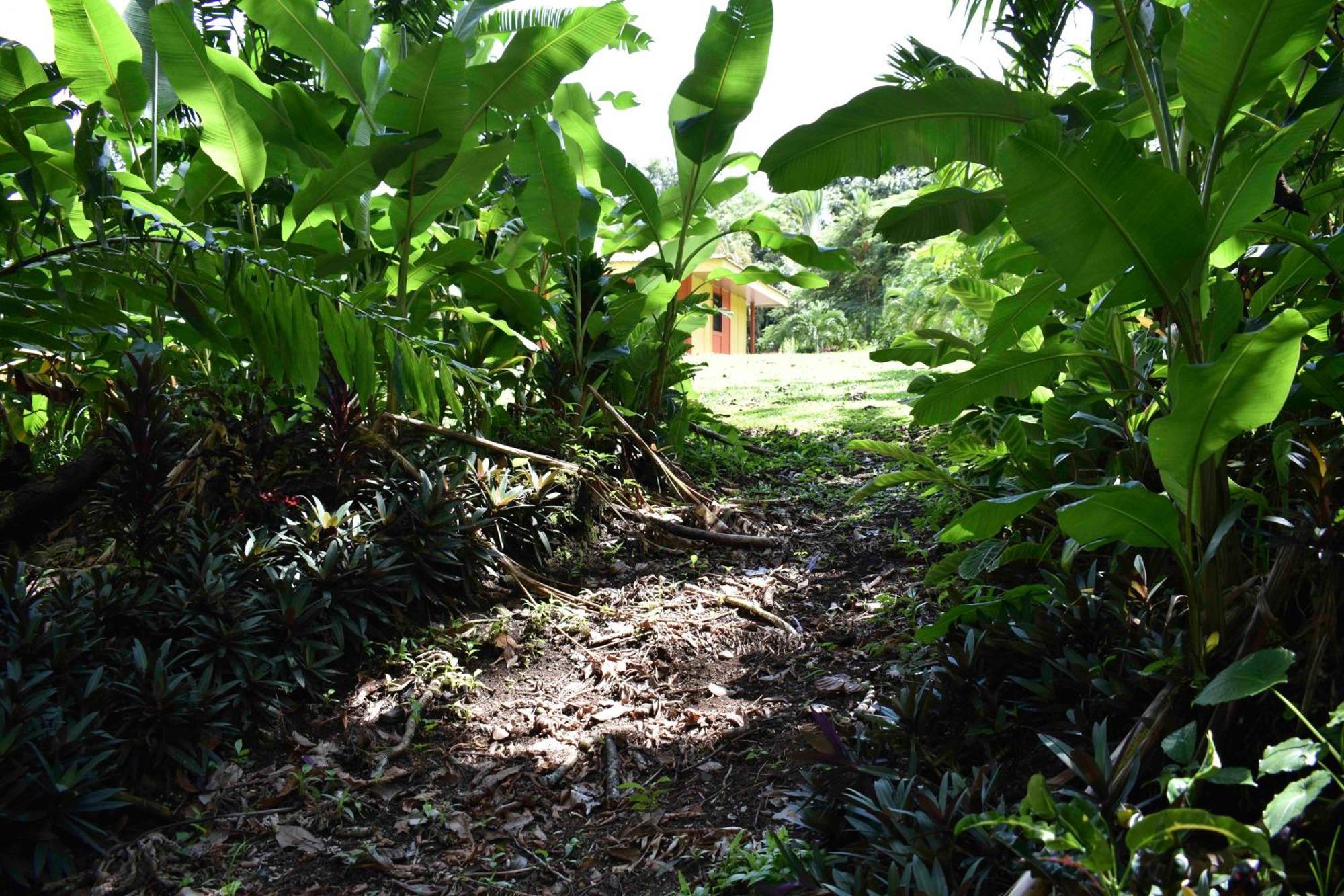 Hotel Arenal Country Inn La Fortuna Exterior photo