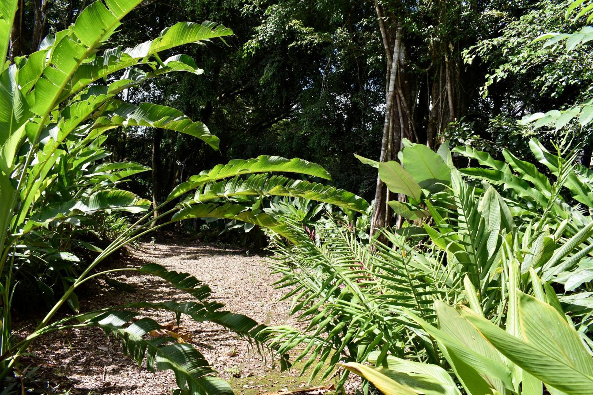 Hotel Arenal Country Inn La Fortuna Exterior photo